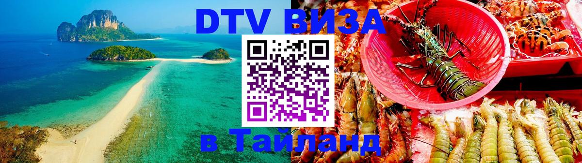 Сколько стоит DTV виза — актуальные цены, оформление даже без документов - 10.01.2026 